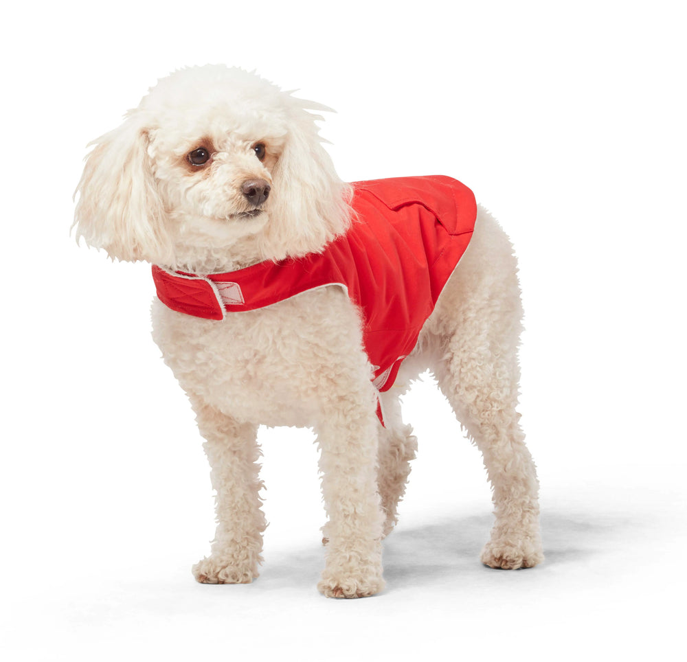 Poppy Red