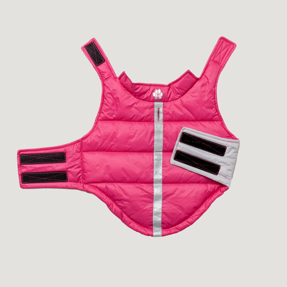Raspberry/Silver Chip