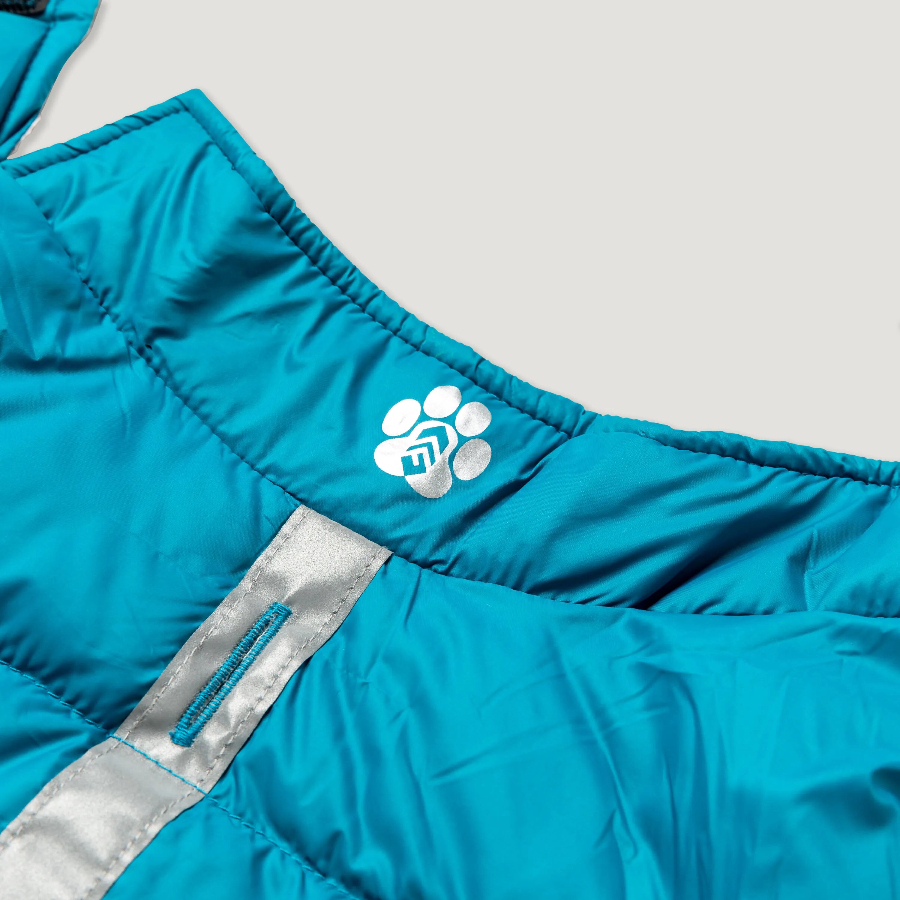 Teal/Silver