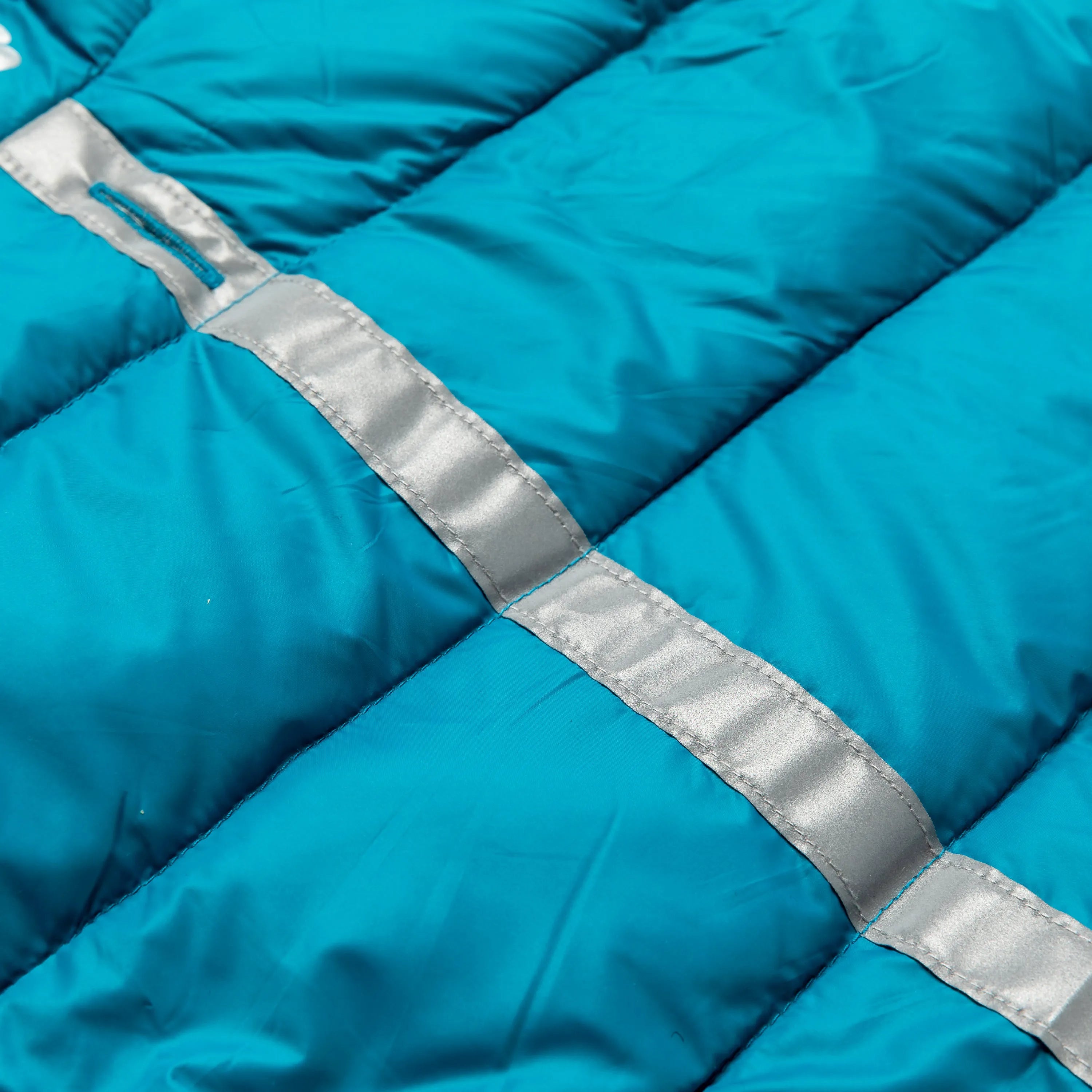 Teal/Silver
