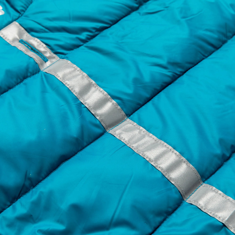 Teal/Silver