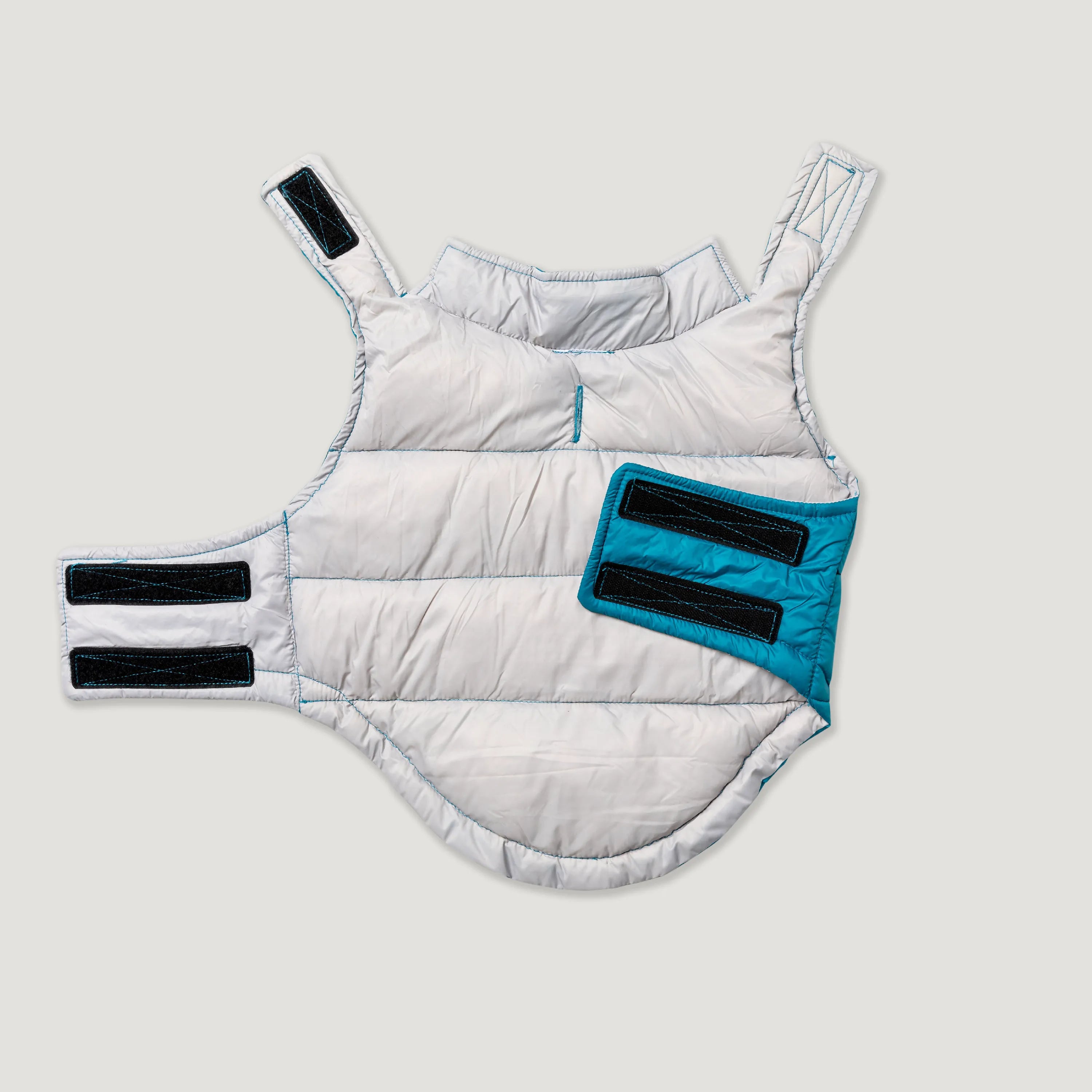 Teal/Silver