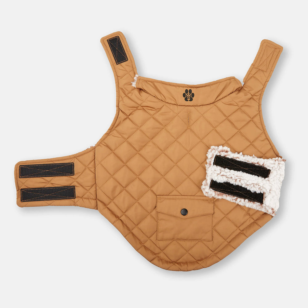 Camel