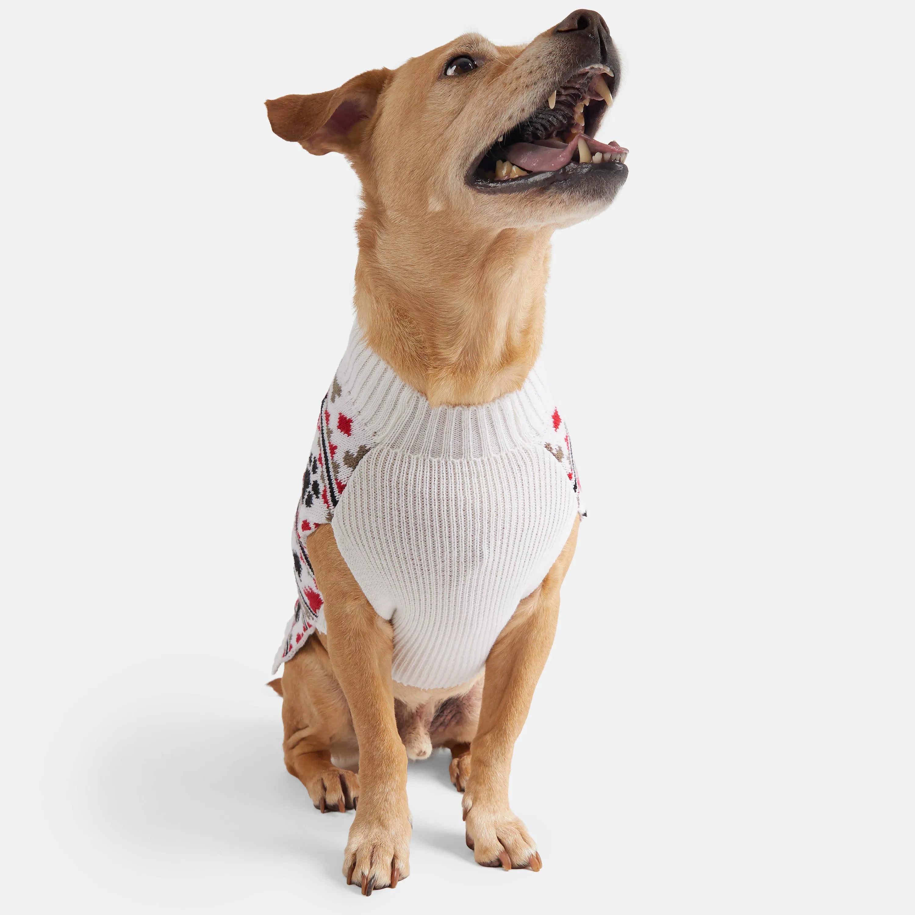 Paws Fair Isle